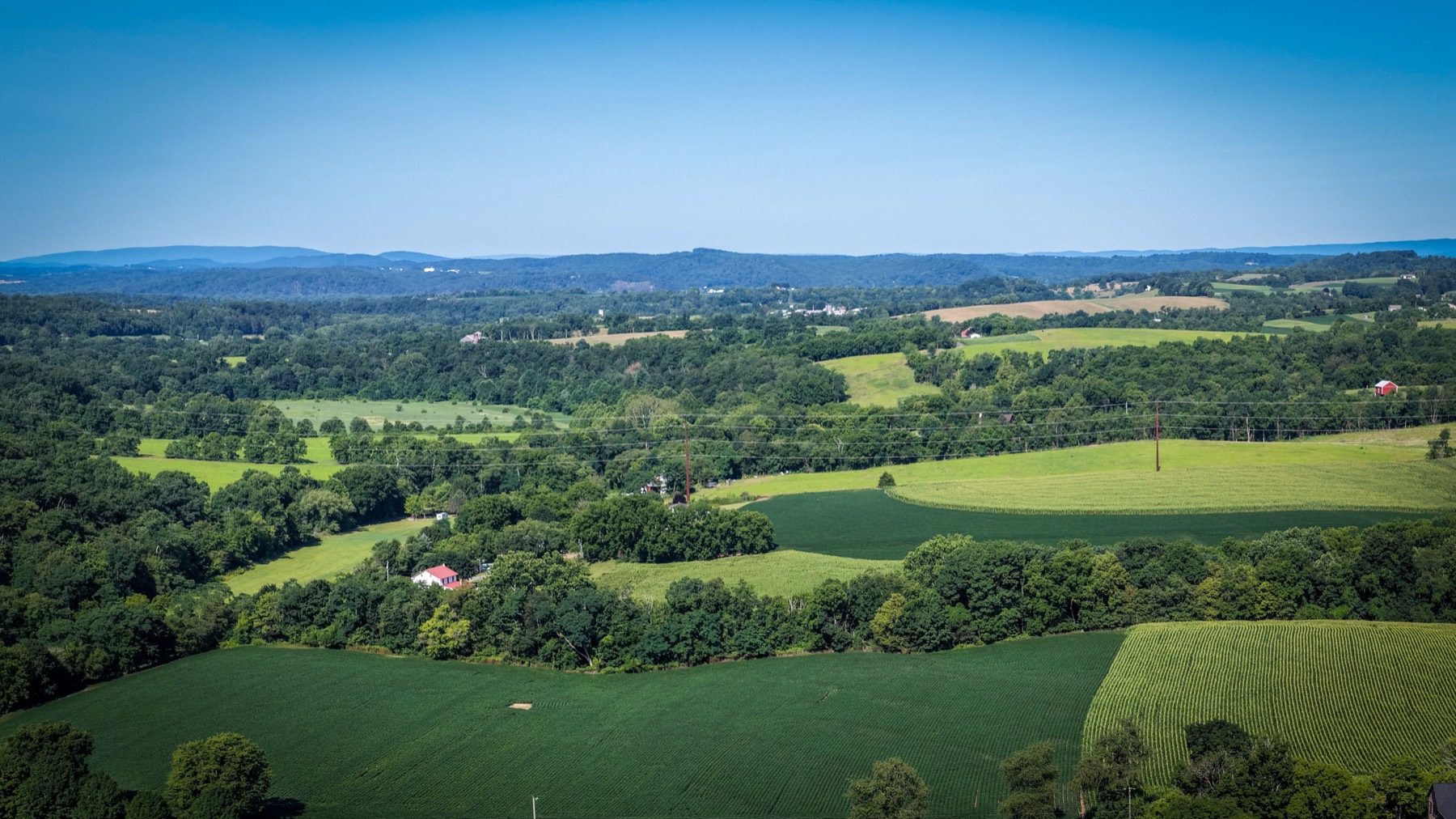 Aerial view of open farmland and tree lines